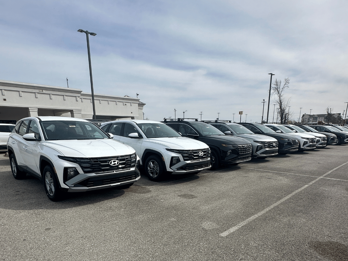 Line of new 2025 Hyundai SUVs parked at Crain Hyundai of Bentonville, highlighting affordability and modern design.