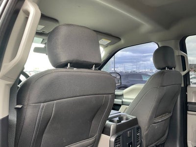2020 Ford F-150 XL - 5.0L V8 / STX APPEARANCE PKG