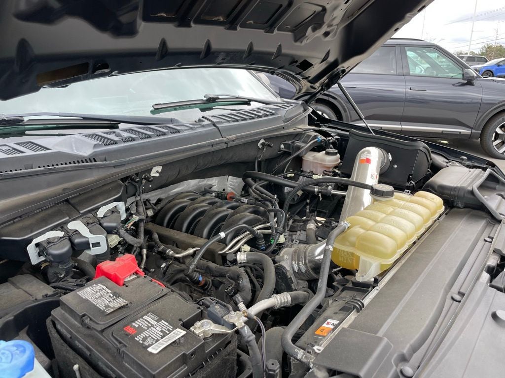 2020 Ford F-150 XL - 5.0L V8 / STX APPEARANCE PKG