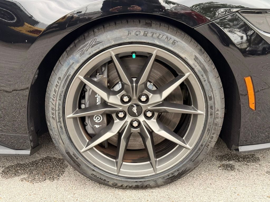 2024 Ford Mustang Dark Horse