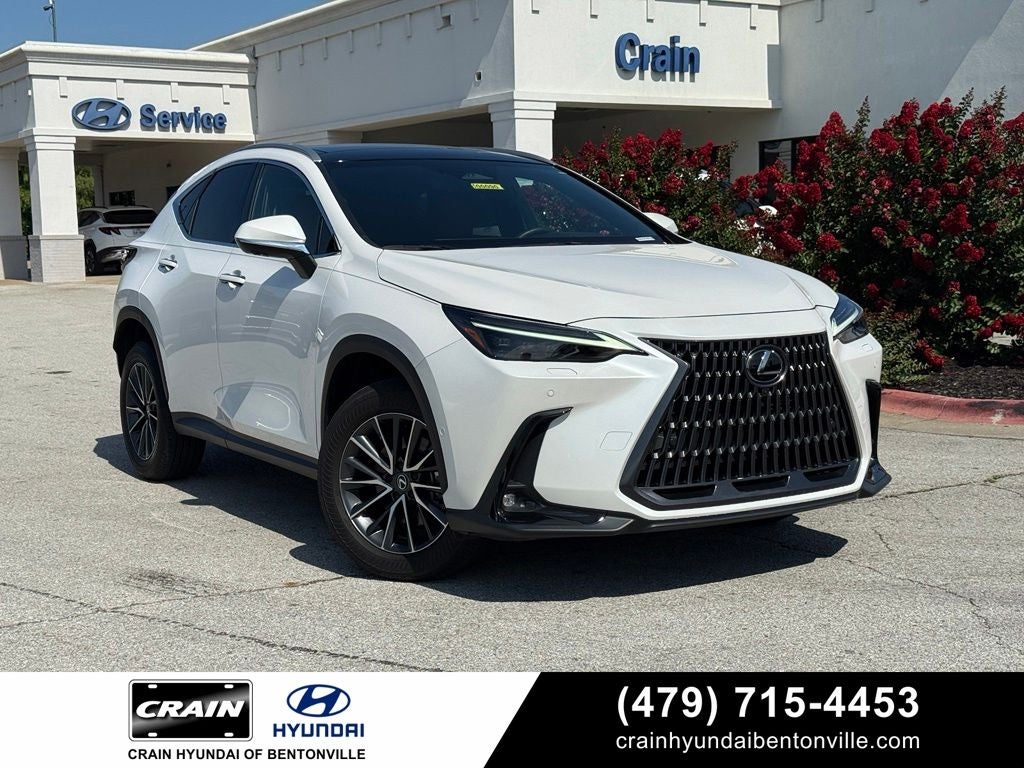2025 Lexus NX 350h 350h Luxury AWD's photo