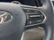 2022 Hyundai PALISADE Calligraphy RARE COLOR