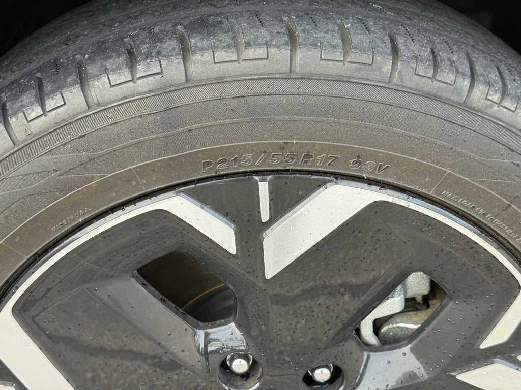 2024 Kia Niro EV Wind EV