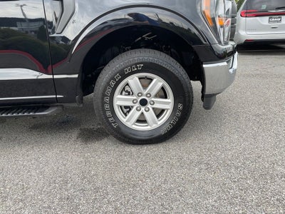 2023 Ford F-150 XL
