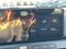 2025 Kia K4 EX ONE OWNER / CLEAN CARFAX