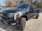 2025 Ford F-150 Platinum FUEL Wheels! 360 CAM, 36 GAL TANK, BLUECRUISE