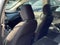 2024 Nissan Versa 1.6 SV CLEAN 1 OWNER CARFAX