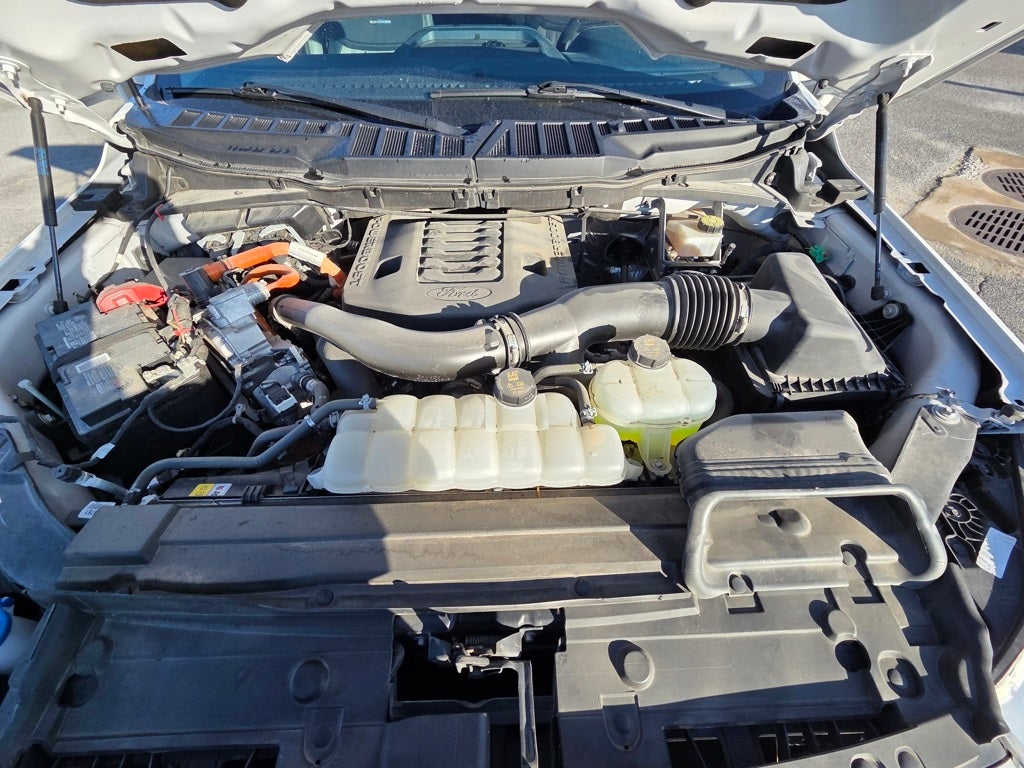 2023 Ford F-150 Limited